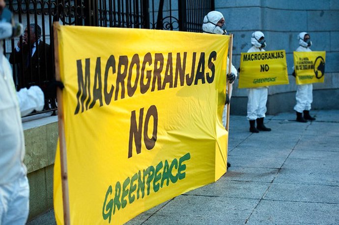 Casi una veintena de activistas de Greenpeace han instalado hoy en la puerta del MITECO una vaca y un cerdo de unos 4 metros de altura para denunciar el insostenible impacto ambiental de la ganader?a industrial en la calidad de las aguas.