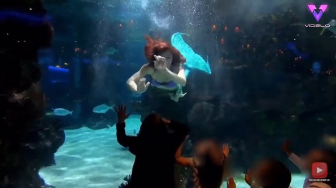 Así es la vida de Sabina Rose, la sirenita de la vida real que se gana la vida en un acuario