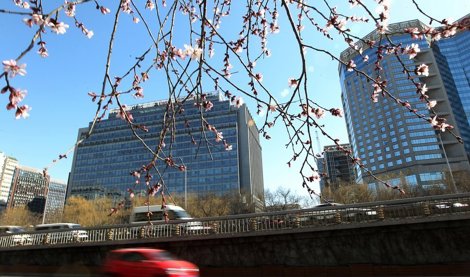 Comunicados Internacional