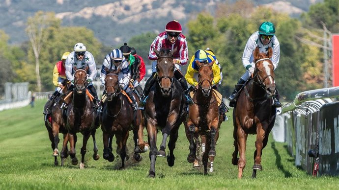 Carrera en el Hipódromo de La Zarzuela