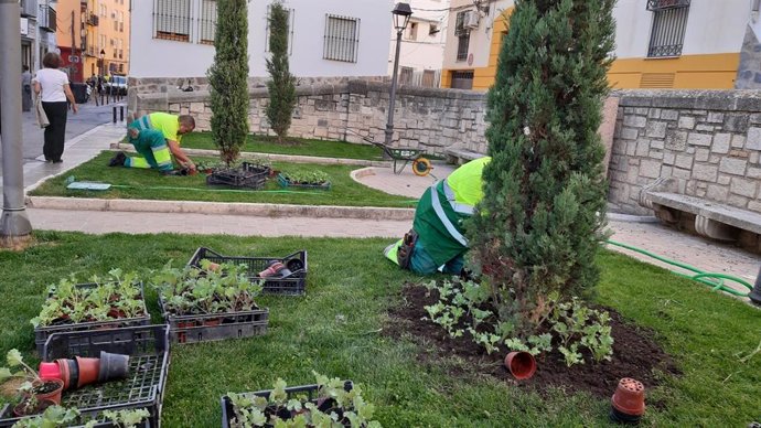 Trabajos de plantación de flores.