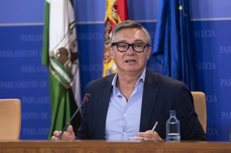 El portavoz del grupo parlamentario Vox, Manuel Gavira