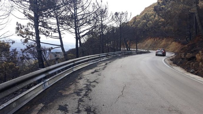 Carretera provincial afectada por el incendio en Sierra Bermeja