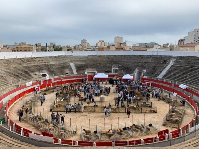 Archivo - Feria ganadera de Inca en la Plaza de Toros.