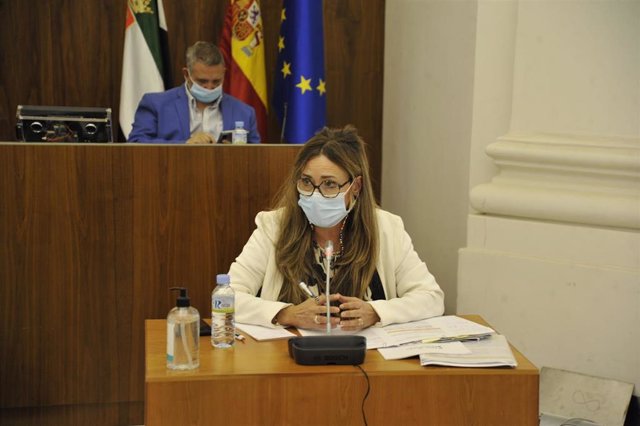 La directora general de Empresa, Ana María Vega, comparece en la Asamblea de Extremadura