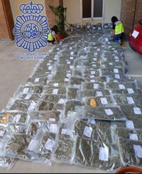 Tres detenidos acusados de transportar 170 kilos de marihuana oculta en camiones