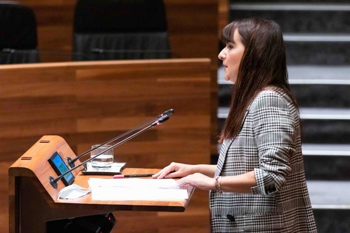 La diputada de Ciudadanos, Laura Pérez Macho en el Pleno.