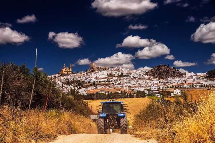 Un tractor, en el medio rural.