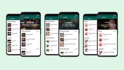 WhatsApp Business añade las colecciones de catálogos para facilitar las  compras