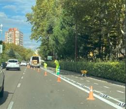 Obras de señalización del nuevo carril bici en el paseo de Zorrilla a su paso por La Rubia.
