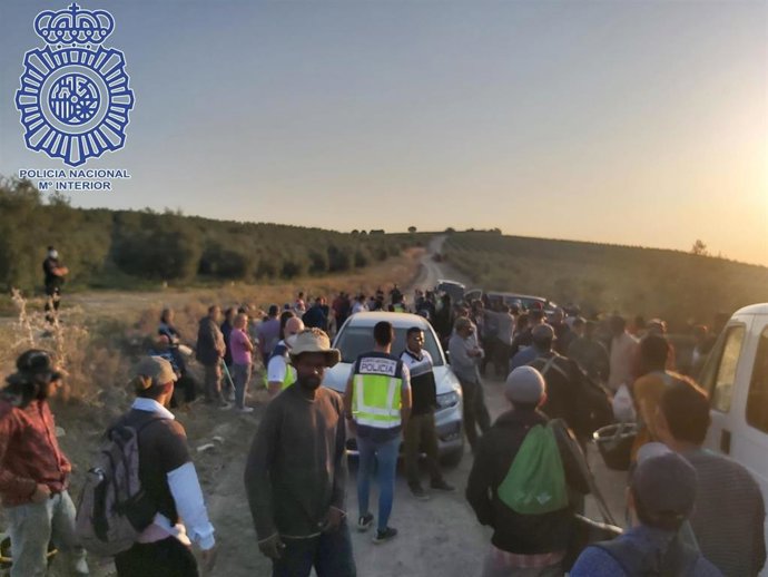 Imagen de la operación