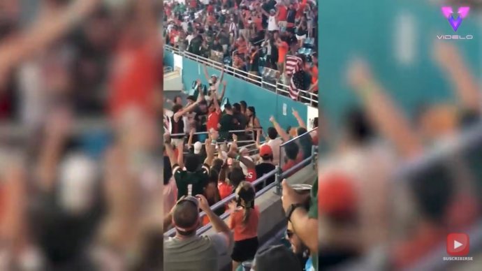 Aficionados al fútbol atrapan al vuelo a un gato que colgaba de las gradas salvándole la vida