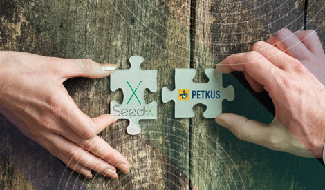 Comunicados Internacional