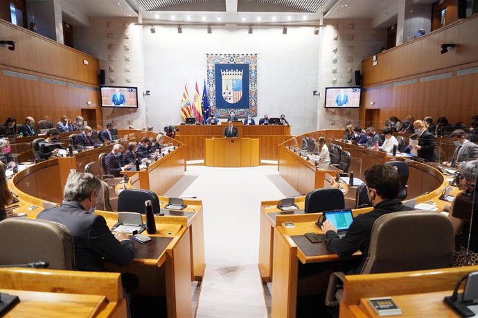 Pérez Anadón ha comparecido en la sesión plenaria de las Cortes de Aragón.