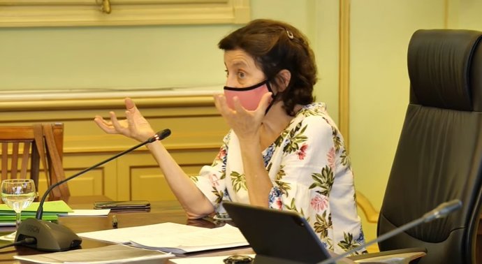 La consellera de Asuntos Sociales y Deportes, Fina Santiago, durante su comparecencia en el Parlament.