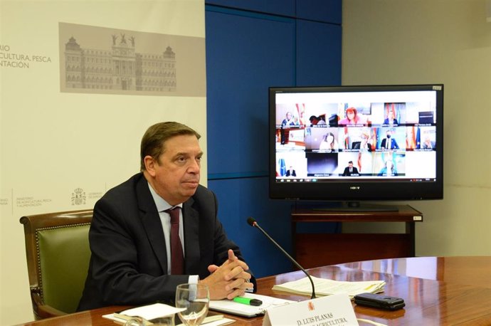 El ministro de Agricultura, Pesca y Alimentación, Luis Planas, en la sectorial de Agricultura que se ha llevado a cabo por videoconferencia