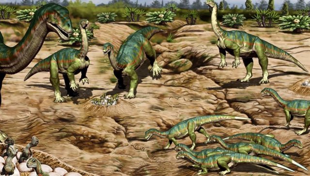 Una nueva investigación sobre un vasto sitio de fósiles en la Patagonia muestra que algunos de los primeros dinosaurios, el Mussaurus Patagonicus, vivían en manadas y sugiere que esto puede haber sido una de las claves del éxito de los dinosaurios