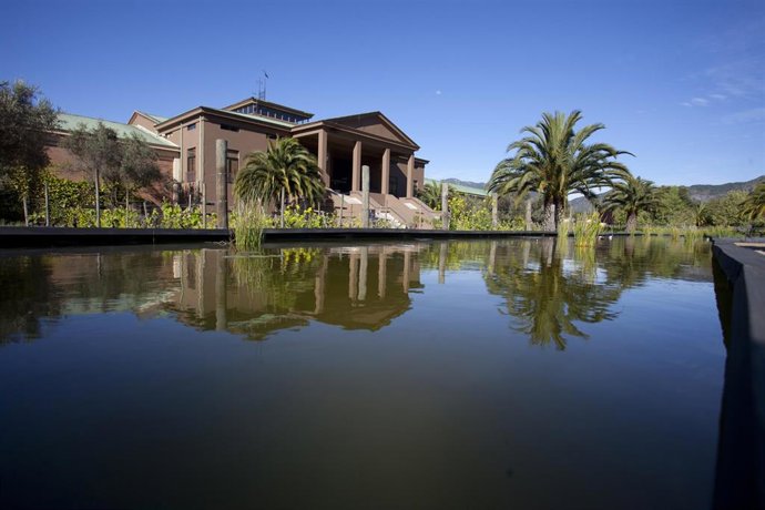 Archivo - Viñedos Veramonte