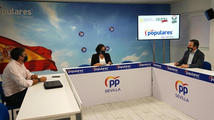 Reunión de la presidenta del PP de Sevilla, Virginia Pérez, con representantes de los agricultores en Andalucía y Sevilla