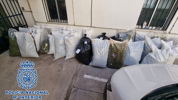 Dieciséis detenidos de un grupo criminal dedicado al comercio de marihuana con países europeos.
