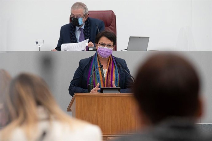 La diputada regional del PSOE Magdalena Sánchez Blesa