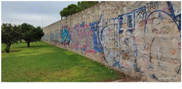 Pintadas en el parque de Sa Riera, Palma.