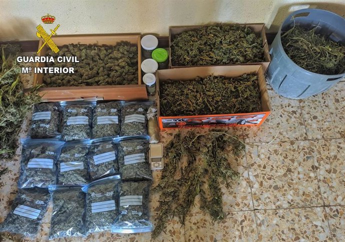 Marihuana incautada en Illescas (Toledo).