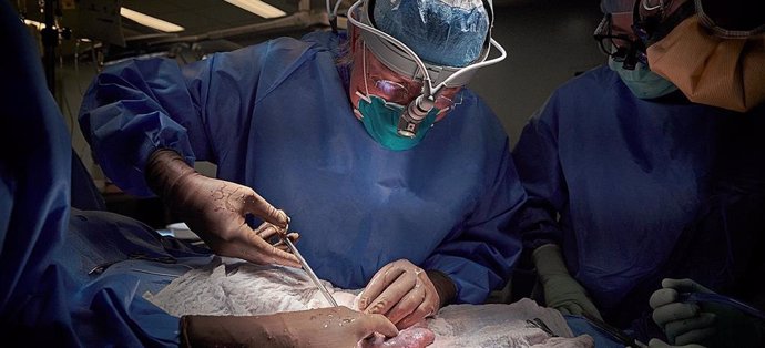 Robert Montgomery, director del Instituto de Trasplantes del NYU Langone Health, durante la operación en la que se ha realizado el primer trasplante de un riñón de cerdo a un humano