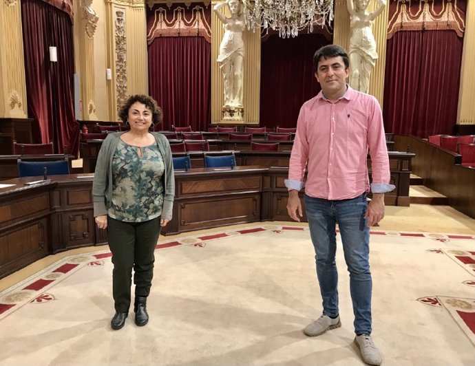 La diputada de MÉS per Mallorca Joana Aina Campomar y el conseller insular de la formación Joan Llodr.