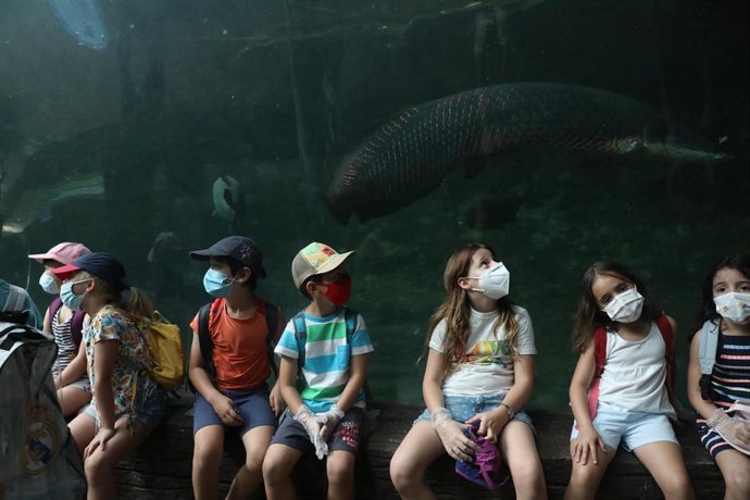 Archivo - Varios niños descansan junto al acuario donde nadan arapaimas en Faunia.