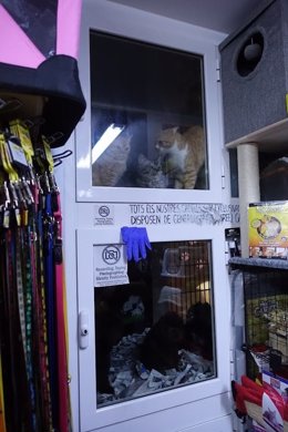 Intervenen 14 cadells en una botiga de Sant Andreu de Barcelona