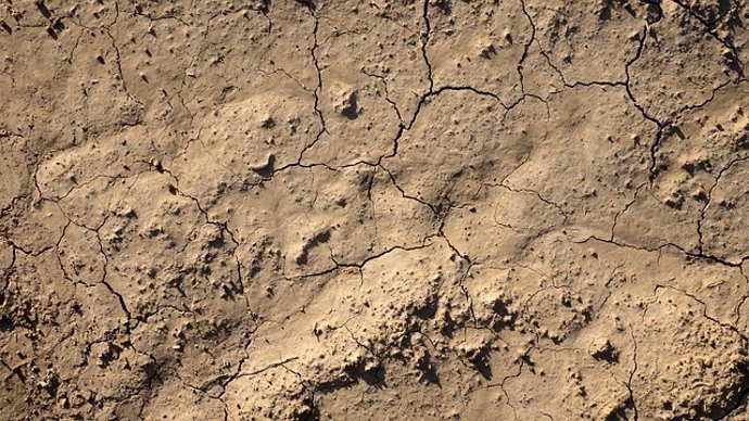 El 74 por ciento del territorio en España está en riesgo de desertificación.