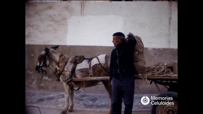 Uno de los vídeos domésticos