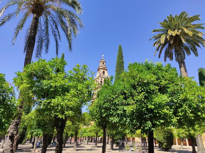 Archivo - Imagen del Patio de los Naranjos de la Mezquita-Catedral de Córdoba.