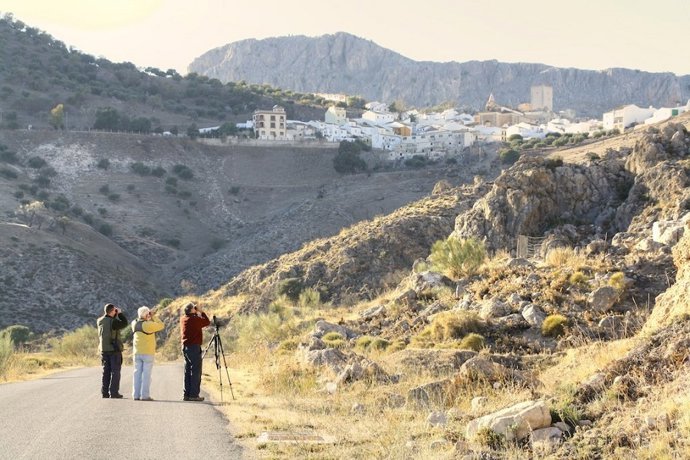 Archivo - Birding en Teba