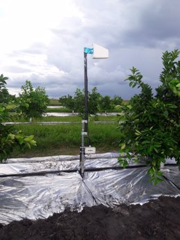 El sistema de monitoratge creat per l'empresa ModpoW per optimitzar l'ús de l'aigua i els fertilitzants en l'agricultura