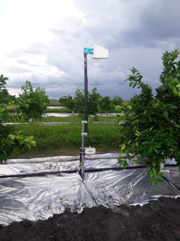 El sistema de monitoratge creat per l'empresa ModpoW per optimitzar l'ús de l'aigua i els fertilitzants en l'agricultura