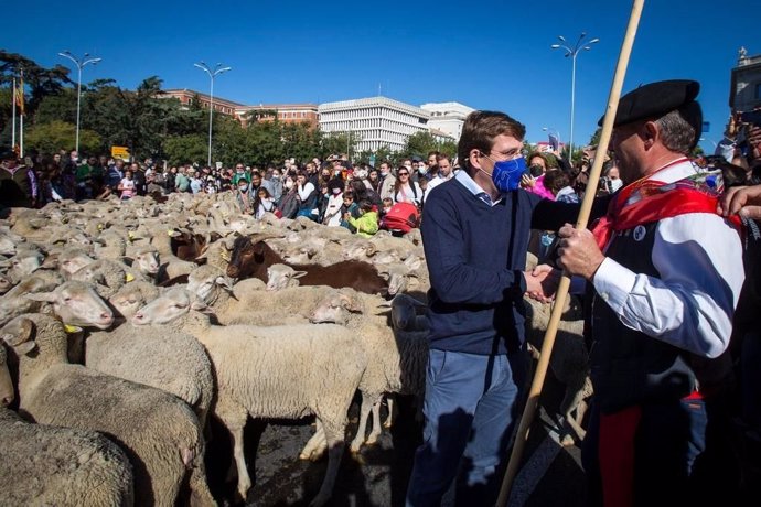 El alcalde de Madrid, José Luis Martínez-Almeida, recibe a un millán de ovejas en la fiesta de la Trashumancia en Madrid