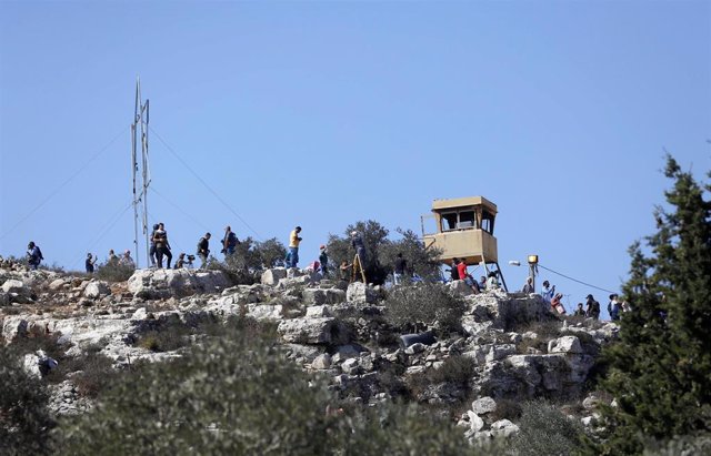 Palestinos recogen aceitunas frente a un puesto avanzado israelí en Nablus