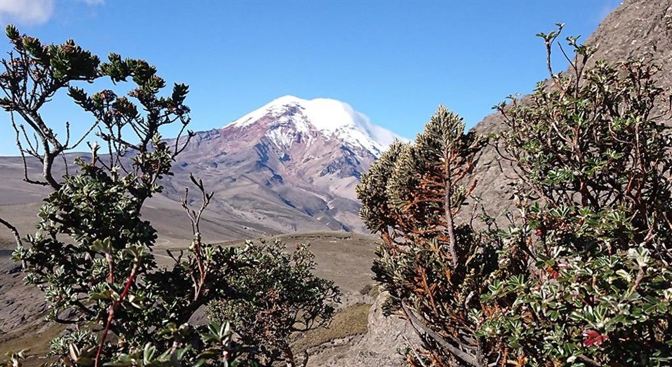 Archivo - Volcán Chimborazo