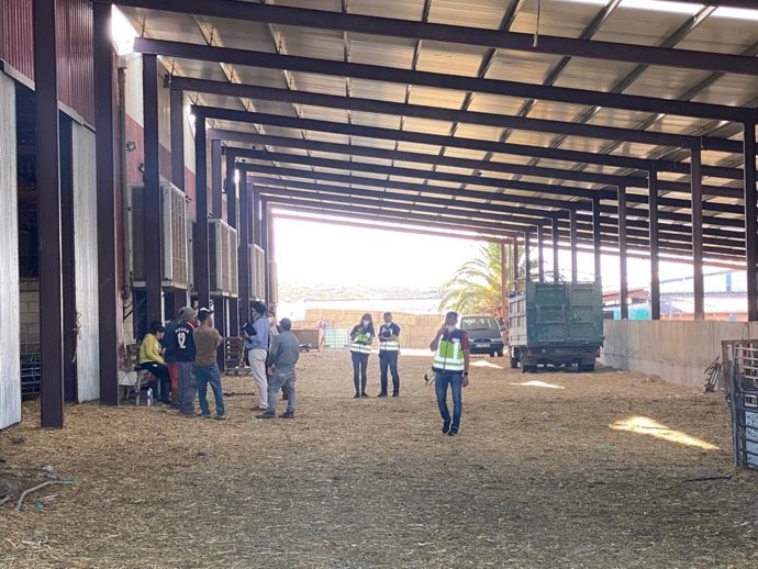 Detenido un ganadero en Ejea de los Caballeros por explotar a cinco inmigrantes.