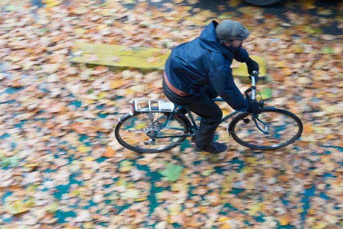 Archivo - Lluvia, viento y caidas de hojas esta mañana en Sevilla. 