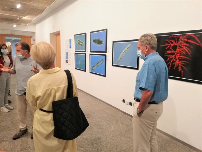 Archivo - La Casa de las Ciencia inaugura la exposición Tesoros de las turberas que descubre la biodiversidad de estos ecosistemas acuáticos
