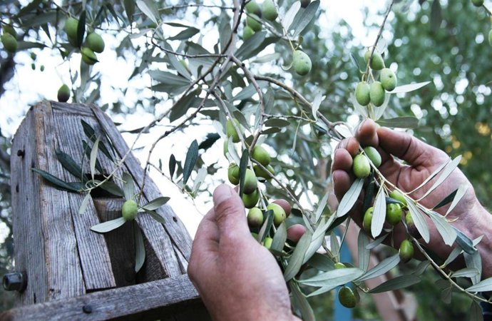 El Fogaiba abona en agosto y septiembre 3,2 millones de diferentes tipos de ayudas.