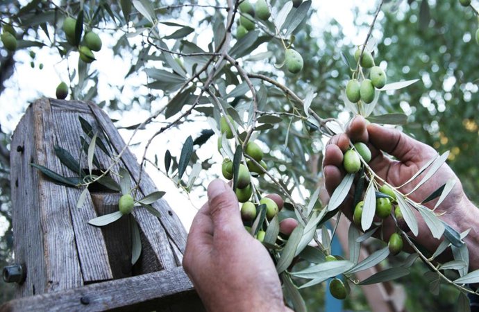 El Fogaiba abona en agosto y septiembre 3,2 millones de diferentes tipos de ayudas.