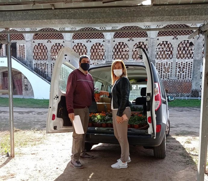 La diputada de Agricultura de la Diputación de Cáceres, Elísabeth Martín, visita el vivero provincial para supervisar el reparto de flores a los municipios ante el día de Todos los Santos