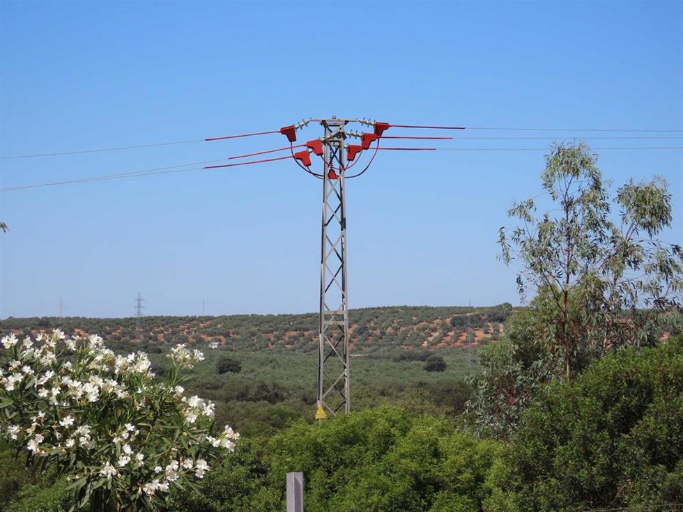 Archivo - Uno de los apoyos, ya aislado, del tendido eléctrico corregido en la provincia de Jaén.