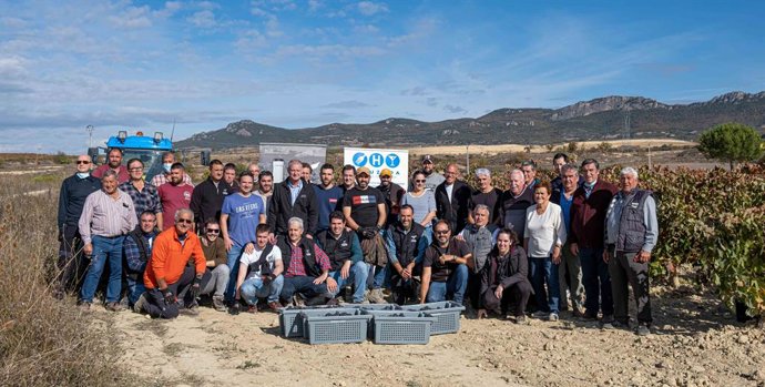 Vendimia Ultimas uvas para La Palma