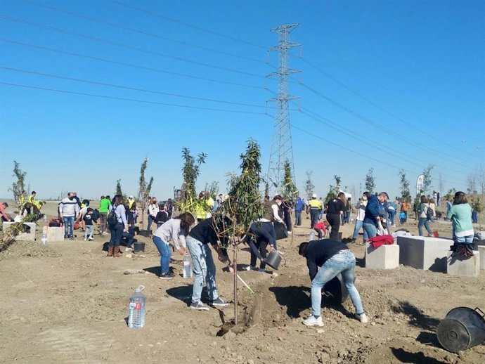 Comienzan las plantaciones del "Bosque Albia" en la PCI