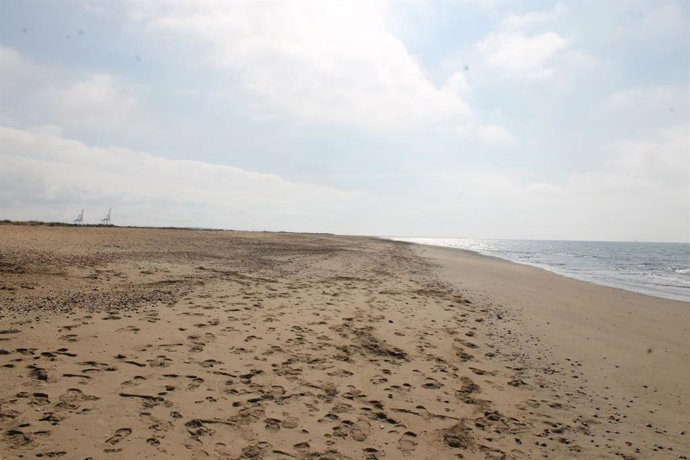 Archivo - Nota De Prensa Con Fotos Limpieza De Choque De La Playa Del Espigón